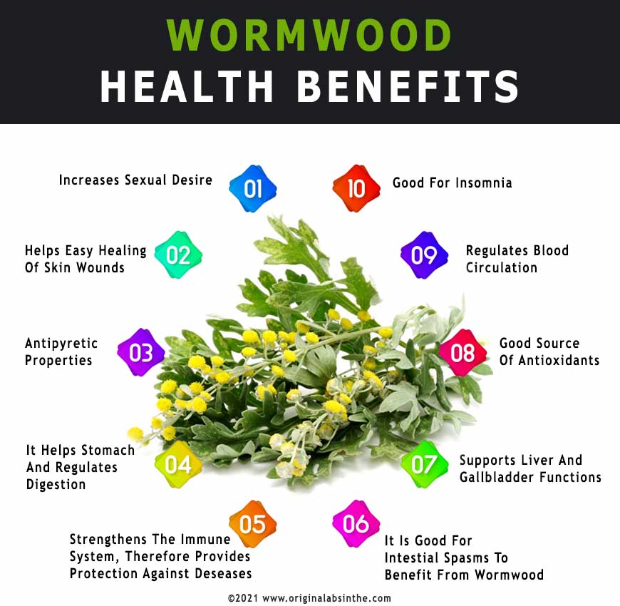 Health Benefits Of Wormwood